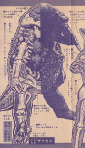 「少年マガジン」1967年5月7日号 『ウルトラマン』ザラガス