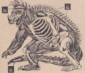 「少年マガジン」1966年3月20日号 『ゴジラの逆襲』アンギラス